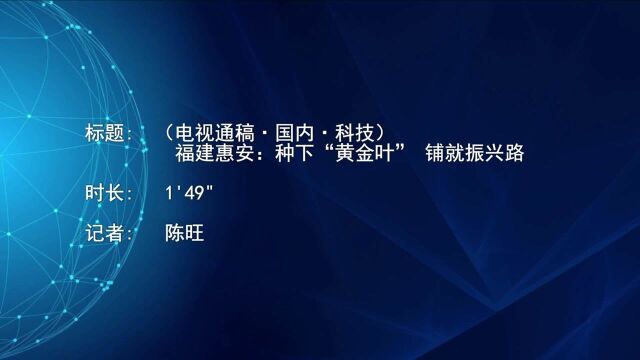 (电视通稿ⷥ›𝥆…ⷧ瑦Š€)福建惠安:种下“黄金叶”铺就振兴路