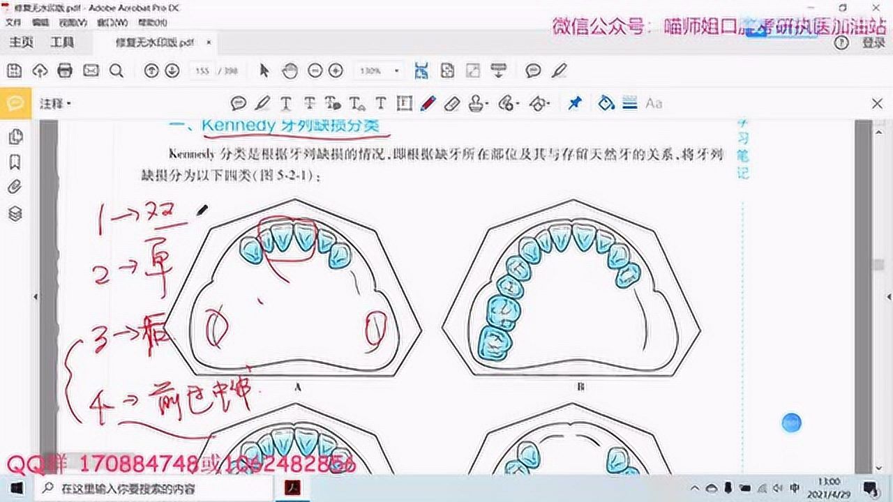 肯氏分类设计图片