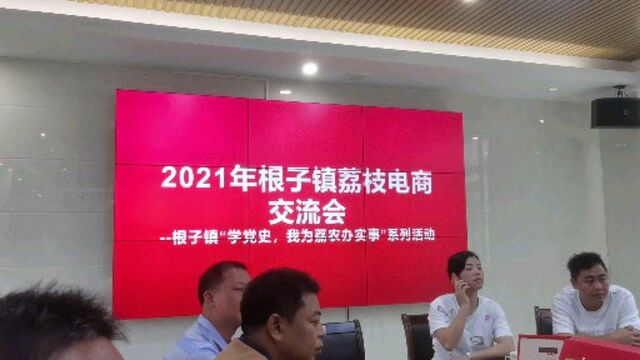 广东高州农村,2021年根子镇荔枝电商,交流会