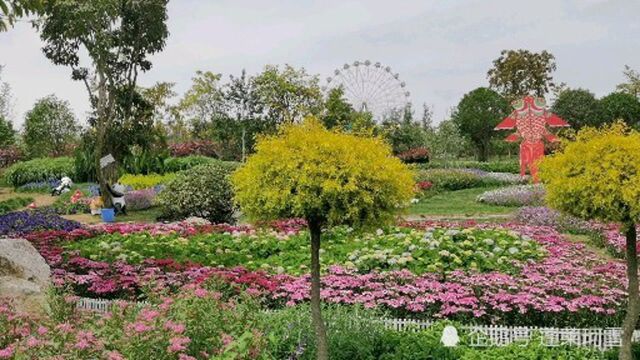 成都市新都的这个萌宠乐园不收门票,与动物零距离接触,投食10元一盒