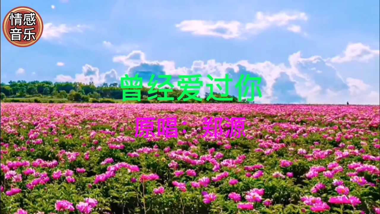 曾经爱过你郑源