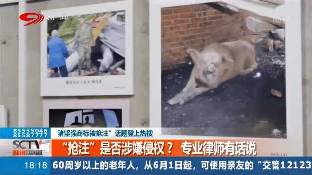 “猪坚强”成热门IP 大量商标被抢注 律师:抢注行为可能涉嫌违法