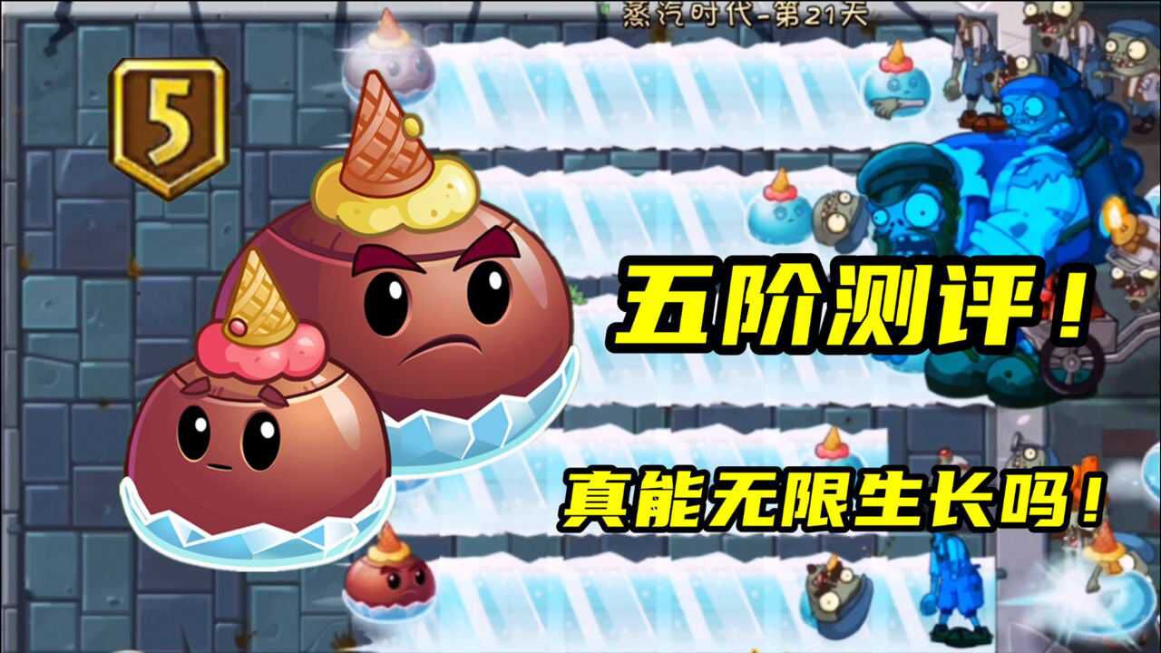 五阶荸荠兄弟测评!真能无限生长吗!