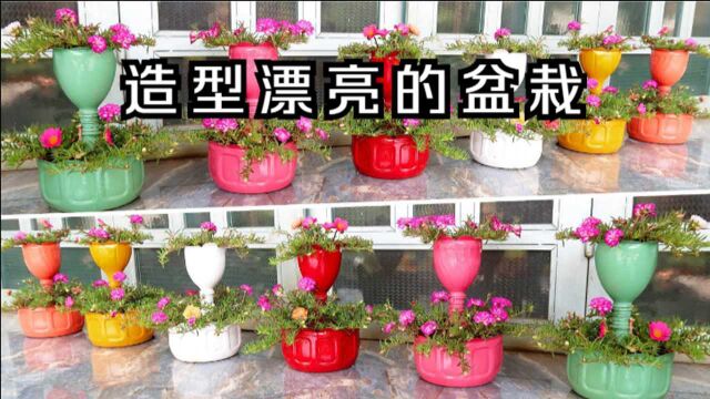 用塑料瓶制作一些花盆,种上鲜花,搭建起小型的家庭小花园