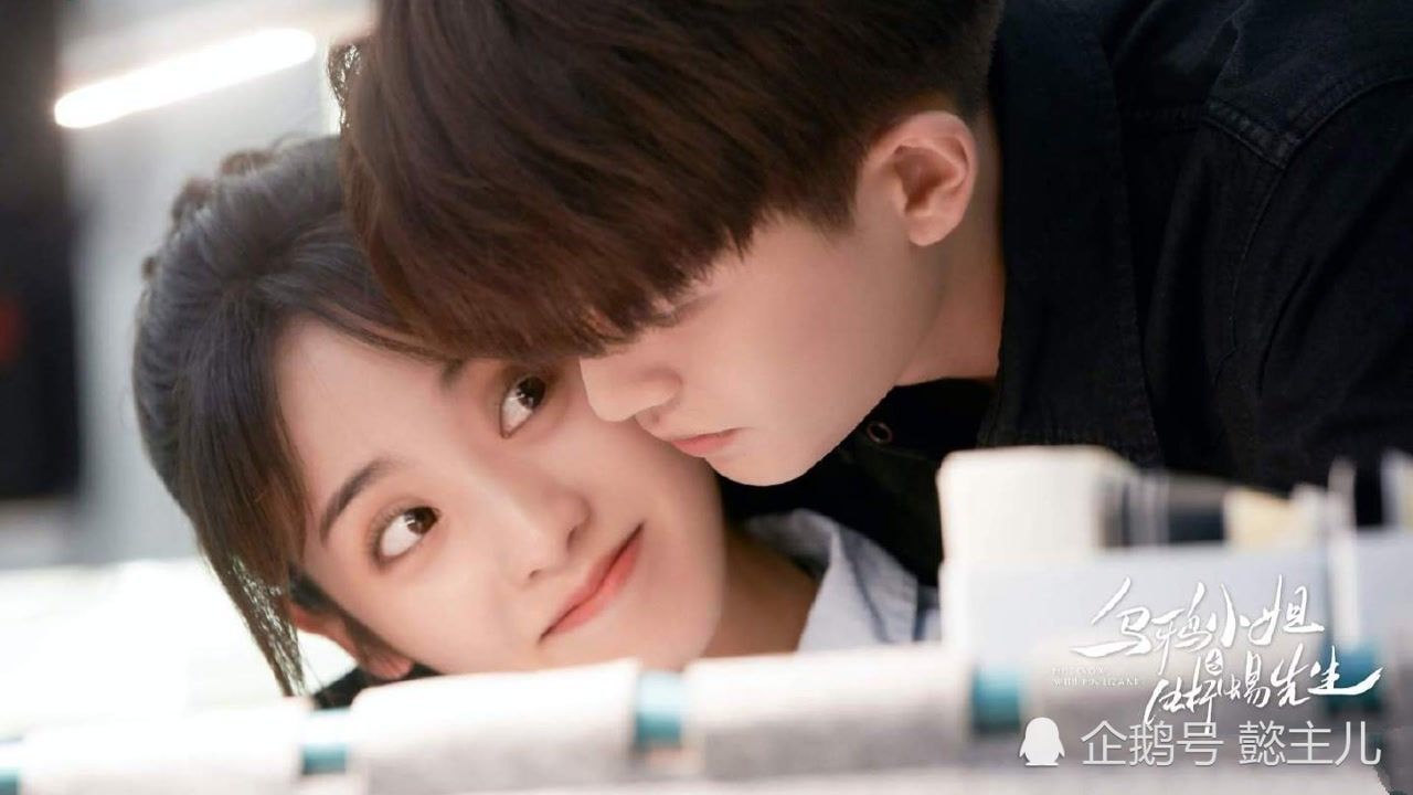 乌鸦小姐与蜥蜴先生顾川姜小宁感情甜蜜日常