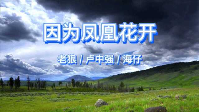 老狼 卢中强 海仔献唱《因为凤凰花开》还原民谣经典