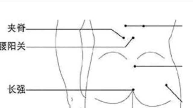 艾灸长强穴,通络防痔疮!