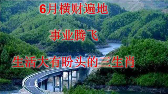 6月横财遍地,事业腾飞,生活大有盼头的三生肖