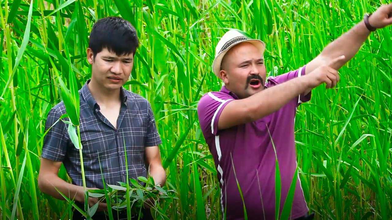 hekimwali yumur itot kino nahxa komidiya kizikarlik yigi filim