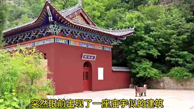 废弃军工厂里竟然发现了狐仙堂和龟仙洞,现代武器能镇住这些仙家吗?