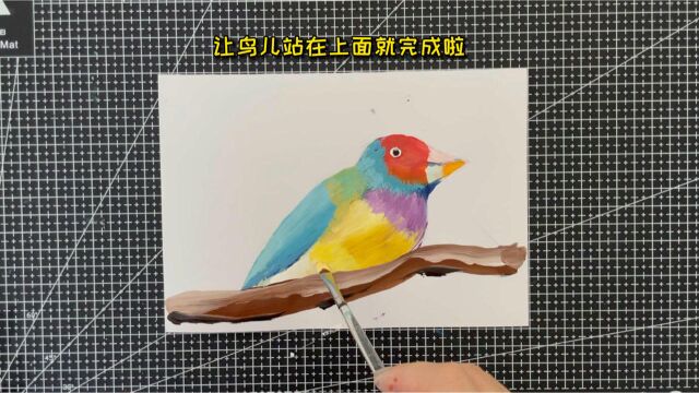 30秒学会全网最简单的小鸟画法,色彩斑斓的真漂亮