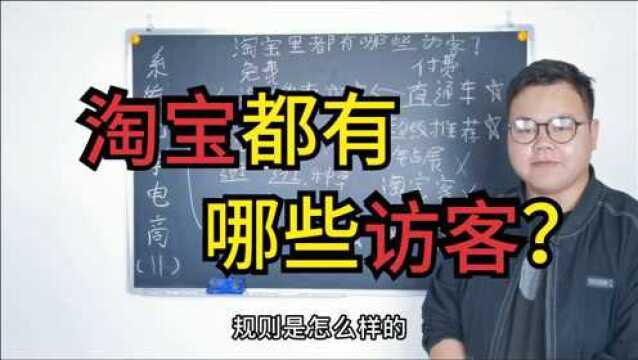 【系统化学电商】11,淘宝开店为什么没访客?淘宝都有哪些访客?