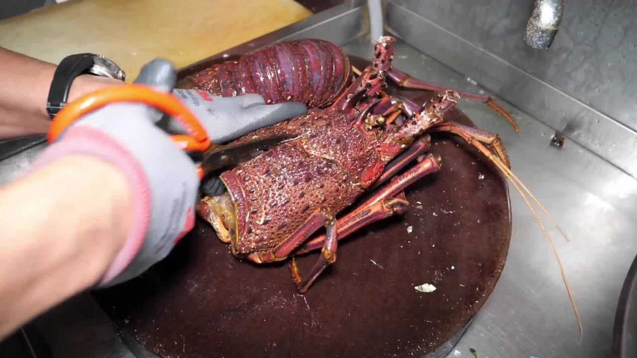 在北京的饭店里吃一只8斤大龙虾,一虾4吃,会花多少钱?