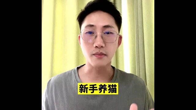 敲重点:新手养猫,千万要记得这个五个宠物用品不要买!!