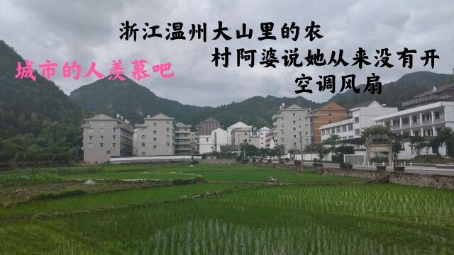 实拍浙江温州农村,房子建在山顶,这样的村子一点都不比城市差