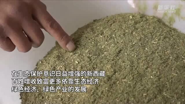 中国宝“藏”|70年间,西藏工业走向可持续发展之路