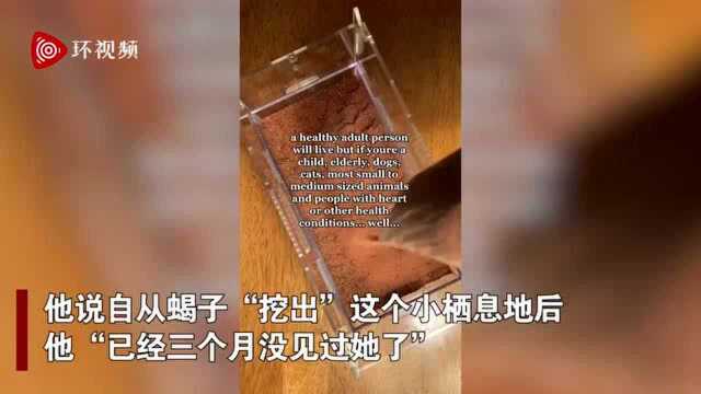 美国男子购买世界上最危险的蝎子当宠物 毒液能杀死儿童