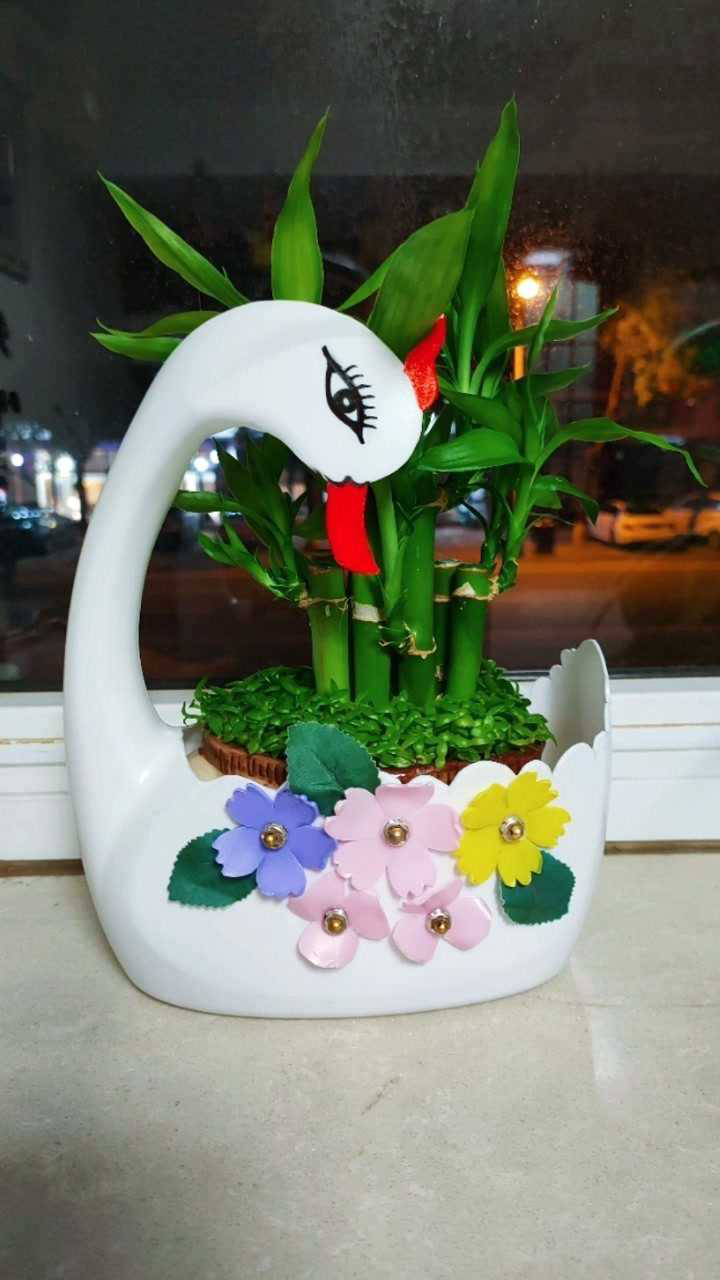 洗衣液瓶改造漂亮的白天鹅花盆适合初学着制作下个视频发装饰花制作