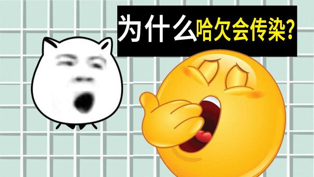 【冷知识】为什么哈欠会传染?