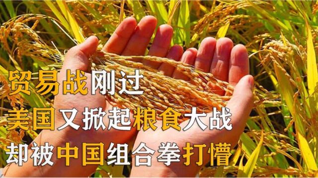 联合全球四大粮商,欲发起粮食战,却被我国组合拳打懵