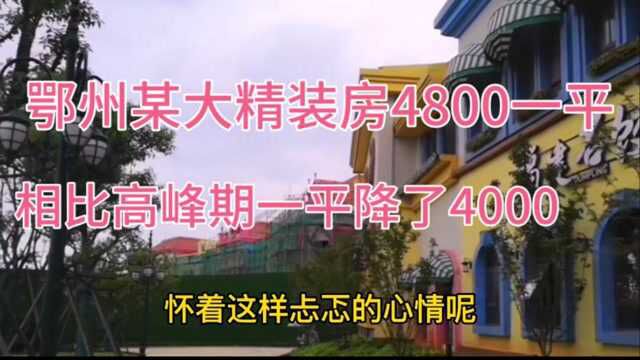 坐标湖北鄂州,大多是武汉人购买的精装房,房价竟从8800降到4800