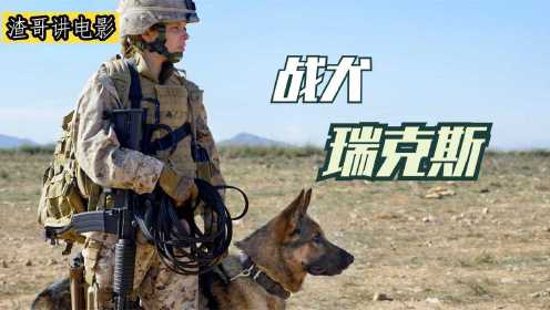 这只战犬作战10万个小时，救了无数战士，却要被安乐死！战争片#电影HOT大赛#