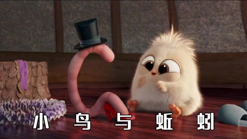 小鸟竟然爱上蚯蚓，还要和它结婚，治愈萌向动画短片《小鸟与蚯蚓》