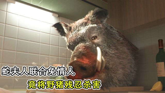 野猪经常家暴蛇夫人,不料蛇夫人联合兔情人,残忍将其杀害#电影HOT大赛#