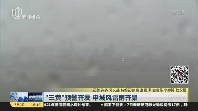 “三黄”预警齐发 申城风雷雨齐聚