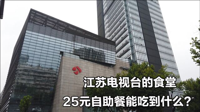 江苏卫视荔枝台食堂,25元自助25个菜加水果随便吃,确实划算