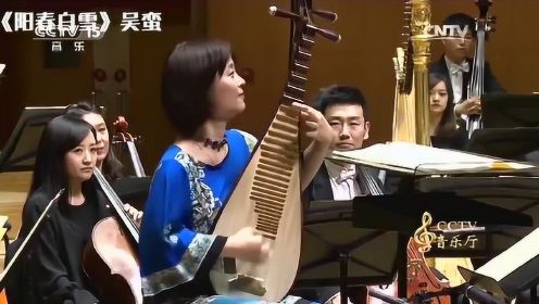 中国琵琶大师一出场，老外全部看傻眼了，网友：这就是国家队吗？
