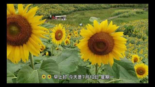 邯郸今日天气,限行等信息,生活必备