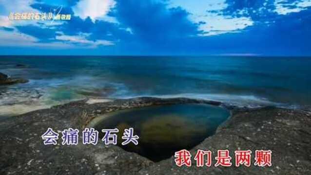 怀旧流行经典——萧敬腾《会痛的石头》