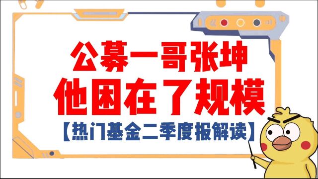 公募一哥张坤,他困在了规模——热门基金二季度报解读