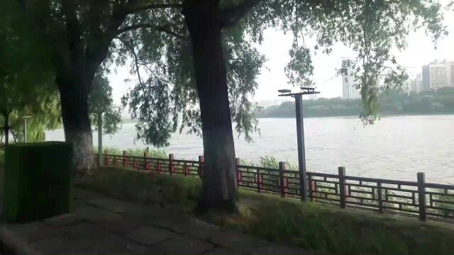 沈阳旅游城市公园系列02,沈水湾公园,市民最喜欢的公园之一