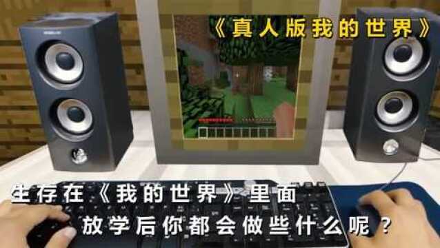 如果你本就生存在《我的世界》里面,放学后你都会做些什么呢?