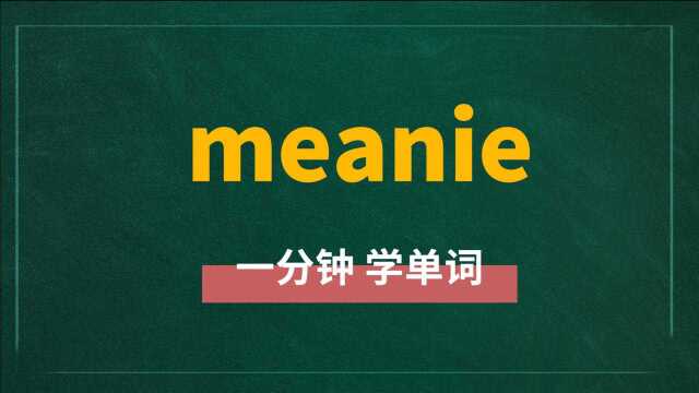 一分钟一词汇,单词meanie你知道它是什么意思吗