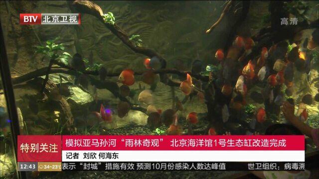 模拟亚马孙河“雨林奇观”北京海洋馆1号生态缸改造完成