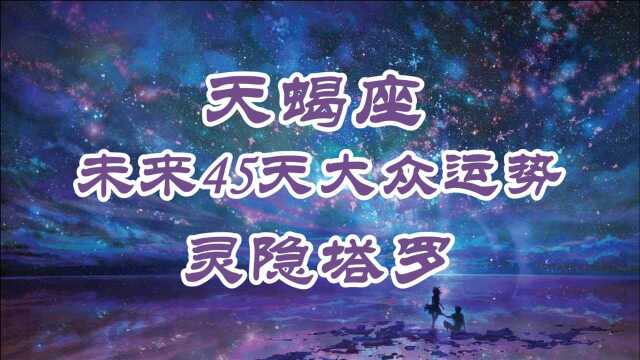 灵隐塔罗:天蝎座未来45天大众运势,去看到问题,解决问题