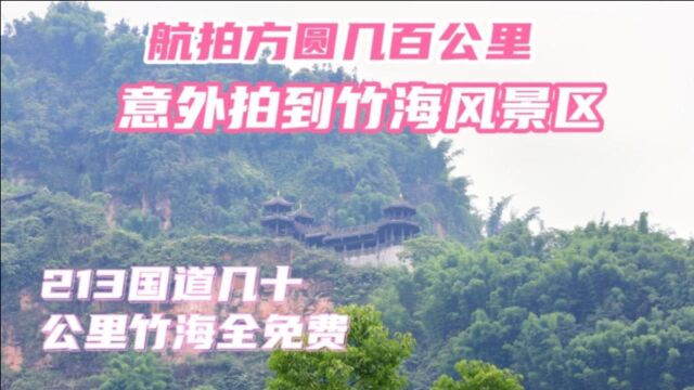 四川乐山市沐川213国道,好多竹子,航拍到方圆几百公里竹海,才知是景区