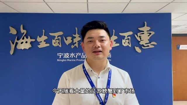 吃货们,东海热气货今起大批量上市,价格比昨天便宜不少