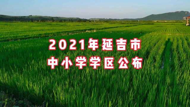 延吉市公布2021年中小学学区