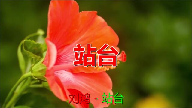 经典老歌:《站台》歌曲旋律动听优美,歌词唯美别致