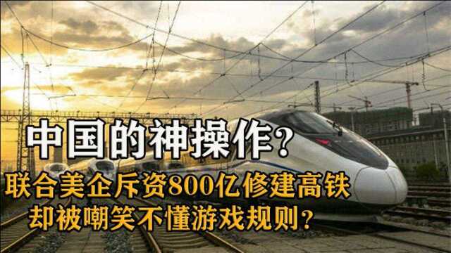 800亿项目美企不敢接,中国接手遭百般阻拦,指责中国不懂规则?