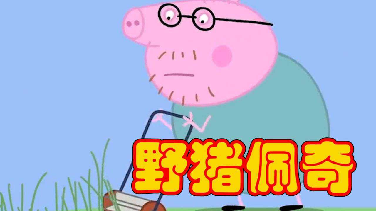 小猪佩奇搞笑:史上最搞笑佩奇娘俩互损名场面,千万别吃饭时看!xswl~_高清1080P在线观看平台_腾讯视频