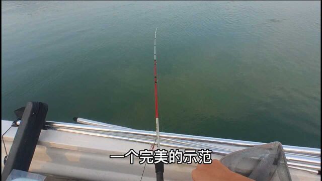 海筏微铅水流急怎么玩?挂饵到中鱼全过程无剪辑