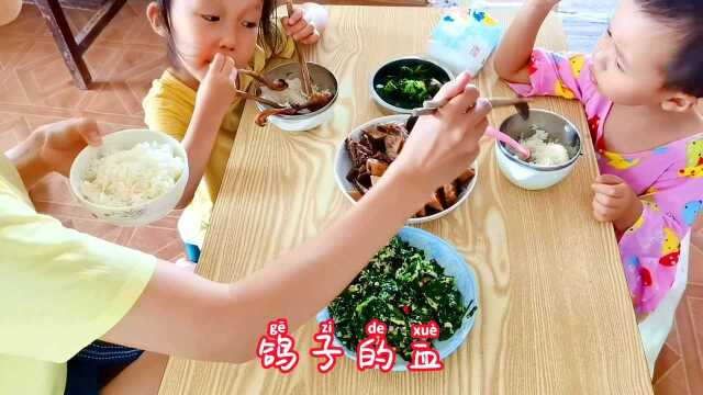 怎么炒鸽子好吃丽丽教你做家庭版红烧鸽子,简单好做,孩子爱吃