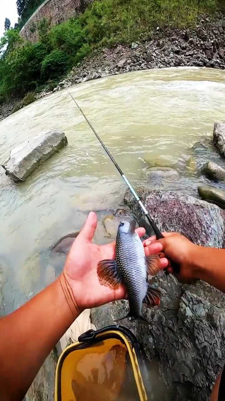纯野生溪石斑鱼怎么钓?_腾讯视频