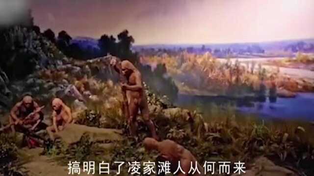 凌家滩村发现数量惊人的玉器,一只玉猪重达几十斤,这些玉器上的图案到底代表什么 #知识ˆ’知识抢先知#