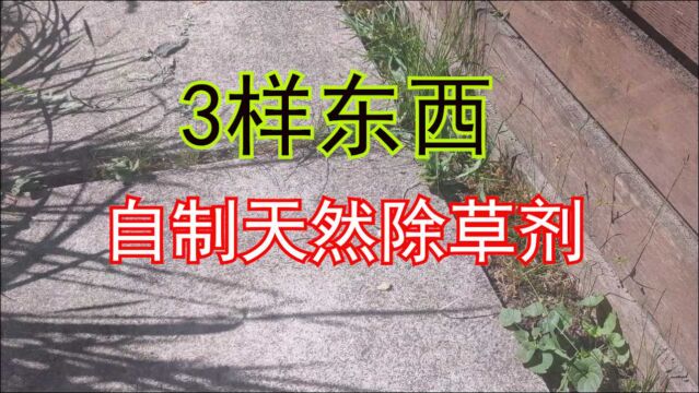 雨后小院杂草丛生,3样东西自制天然除草剂,简单有效